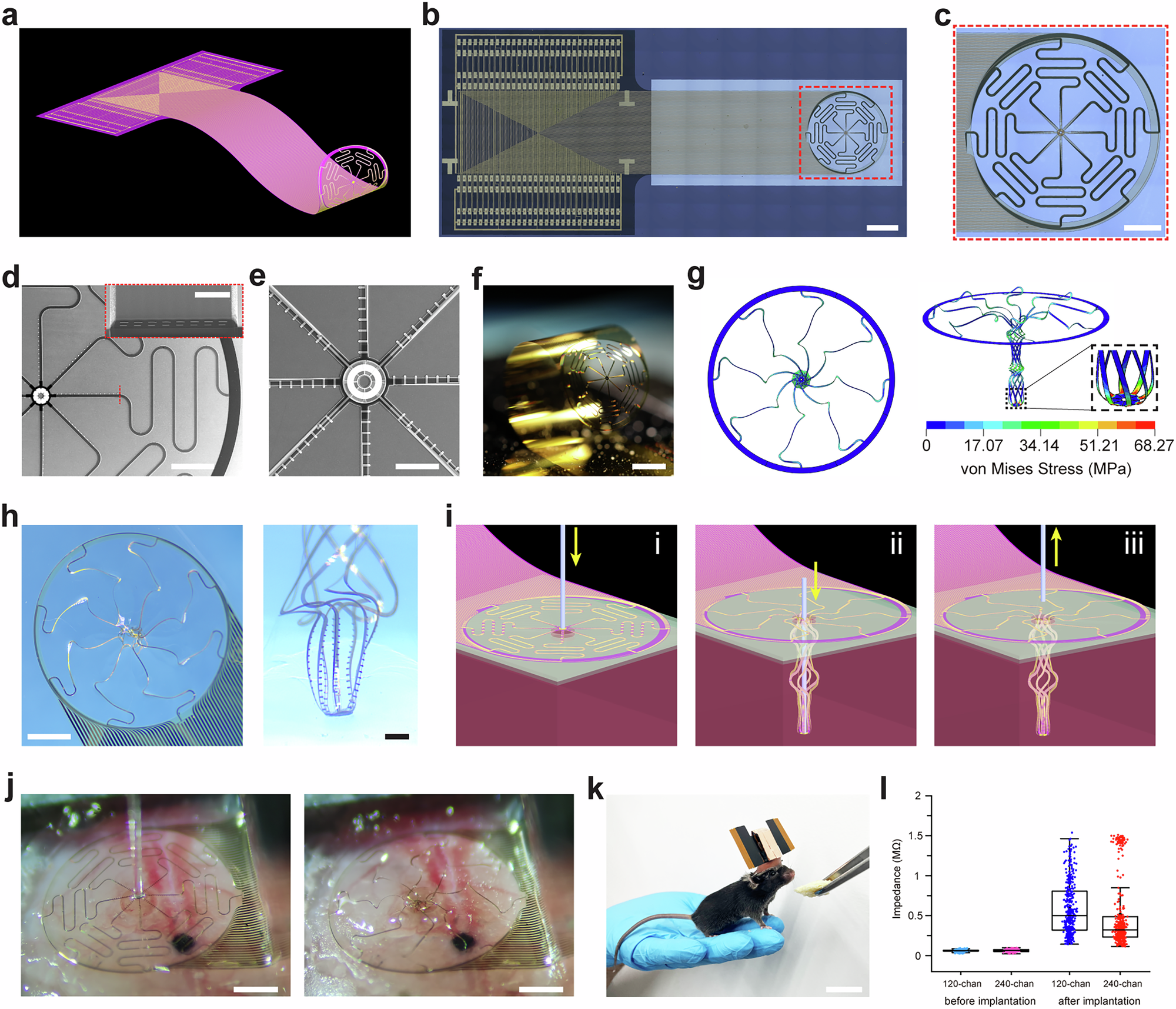 Complete source figure: rendering a and micrographs b to e of the umbrella-type stretchable electrode array, photograph f of the rolled array, stress simulation g, photographs h of the array in liquid, implantation schematic i, photographs j of the array on exposed mouse cortex, photograph k of a mouse carrying the implant, and impedance statistics l.