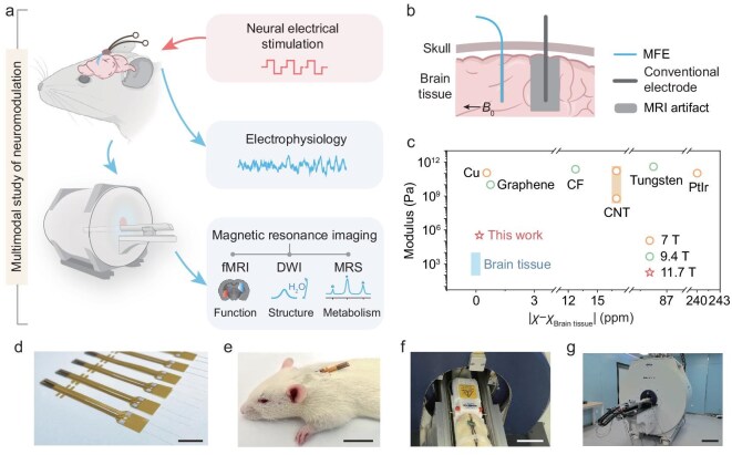 Complete source figure: schematic a of the multimodal neuromodulation study, schematic b of the fibre electrode in brain tissue beside a conventional electrode and its MRI artifact, a materials comparison plot c, photograph d of an array of fibre electrodes with gold contact pads, photograph e of a rat with the implant, photograph f of the animal in the MRI bed and photograph g of the MRI scanner.