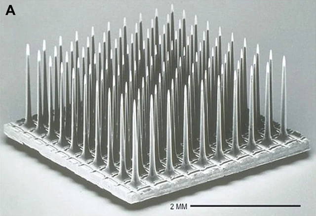 Scanning electron micrograph of a Utah array with a dense square grid of tapered penetrating silicon electrodes.