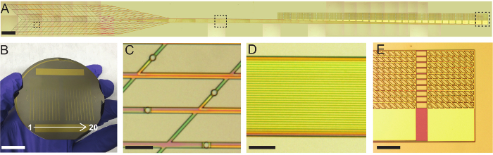 Complete source figure showing fabricated syringe-injectable mesh electronics, a wafer held in a hand, and magnified mesh structures and connection pads.