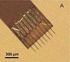 Microscope photograph of a narrow flexible brown circuit with two rows of fine projecting carbon fibers; original 300-micrometre scale preserved.