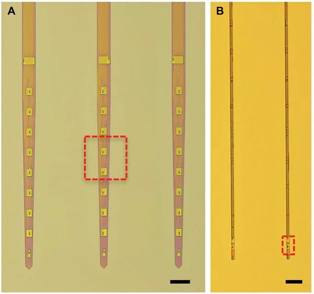 Optical micrographs of gold-colored NET-50 and finer NET-10 threads with exposed contacts, original panel labels and scale bars retained.
