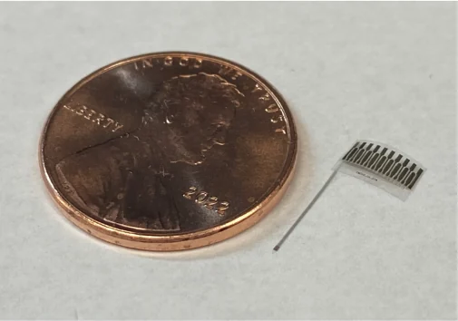 A slender flexible recording shank with a small contact fan beside a US penny.