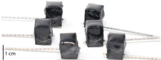Six small black encapsulated stimulator nodes connected to long thin electrode leads, photographed together with a 1 cm scale bar.