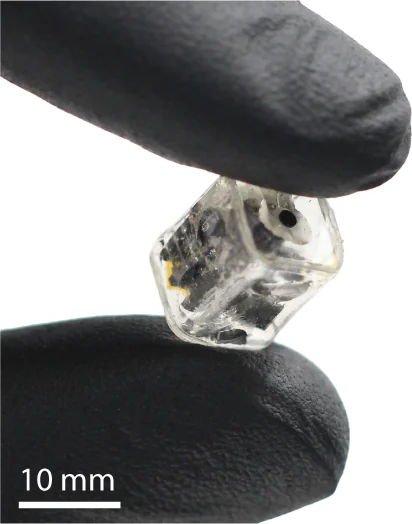 A tiny clear glass-encased DOT stimulator held between two dark-gloved fingers, with a 10 mm scale bar.