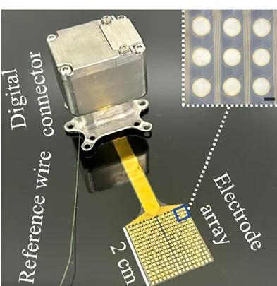 Photograph of the SIMIT 256-channel micro-ECoG implant, with its titanium electronics enclosure, flexible golden surface array, reference lead and contact close-up.