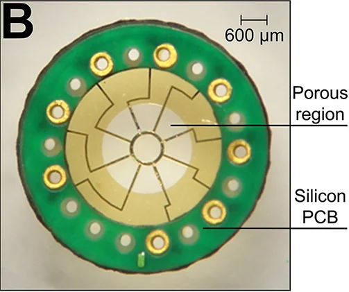 Circular macro-sieve electrode with a central porous gold-colored membrane, radial traces and eight peripheral connections; original 600-micrometre scale preserved.