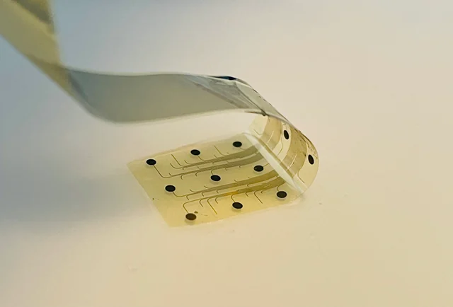 Photograph of a thin flexible graphene cortical electrode array bent upward by metal tweezers, showing dark circular electrode contacts and patterned traces.